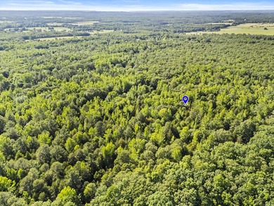 Enjoy peaceful country living just minutes from town on this - photo 7