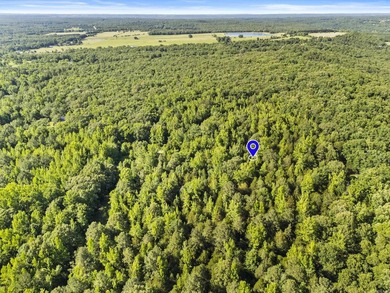 Enjoy peaceful country living just minutes from town on this - photo 8