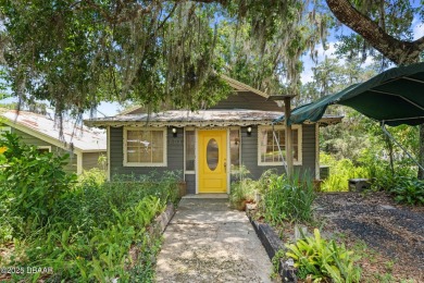 Lake Home For Sale in Welaka, Florida