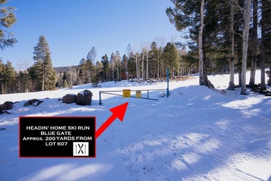 Lake Lot For Sale in Angel Fire, New Mexico