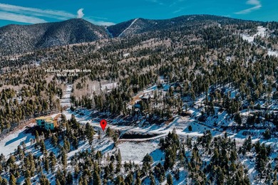 STEPS FROM THE SLOPES! Ski Access to *Headin' Home* ski run. Lot - photo 2