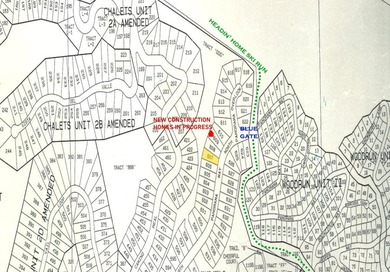 STEPS FROM THE SLOPES! Ski Access to *Headin' Home* ski run. Lot - photo 3