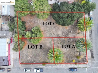 Lot 3 of 3 totaling 13,000 square feet! Don't miss this rare - photo 1