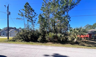 Build your dream home in the desirable Seminole Woods - photo 1