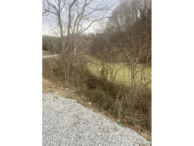 220 Acres of Pristine Mountain Farmland at the Base of Bluff - photo 12