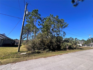 Build your dream home in the desirable Seminole Woods - photo 2