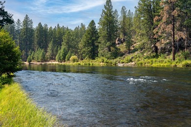 A riverfront sanctuary that comes to market once in a generation - photo 12
