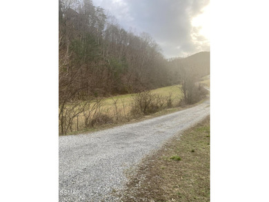 220 Acres of Pristine Mountain Farmland at the Base of Bluff - photo 13