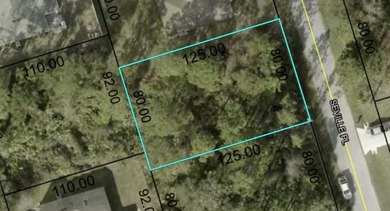 Build your dream home in the desirable Seminole Woods - photo 3