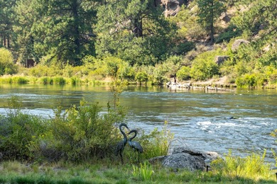 A riverfront sanctuary that comes to market once in a generation - photo 14