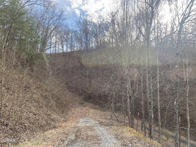220 Acres of Pristine Mountain Farmland at the Base of Bluff - photo 15