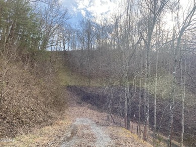 220 Acres of Pristine Mountain Farmland at the Base of Bluff - photo 16