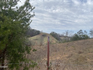 220 Acres of Pristine Mountain Farmland at the Base of Bluff - photo 17