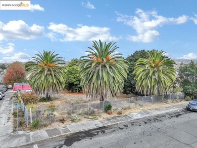Lot 3 of 3 totaling 13,000 square feet! Don't miss this rare - photo 8