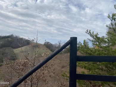 220 Acres of Pristine Mountain Farmland at the Base of Bluff - photo 18