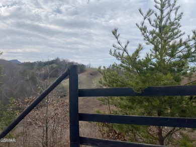 220 Acres of Pristine Mountain Farmland at the Base of Bluff - photo 19