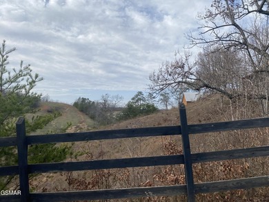 220 Acres of Pristine Mountain Farmland at the Base of Bluff - photo 20