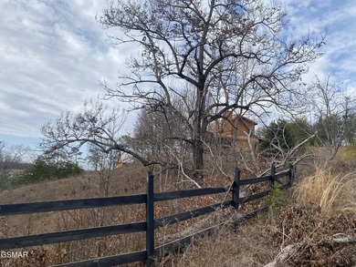 220 Acres of Pristine Mountain Farmland at the Base of Bluff - photo 21