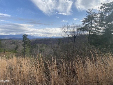 220 Acres of Pristine Mountain Farmland at the Base of Bluff - photo 23