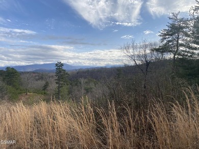 220 Acres of Pristine Mountain Farmland at the Base of Bluff - photo 24