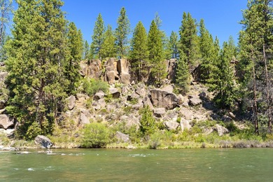 A riverfront sanctuary that comes to market once in a generation - photo 24
