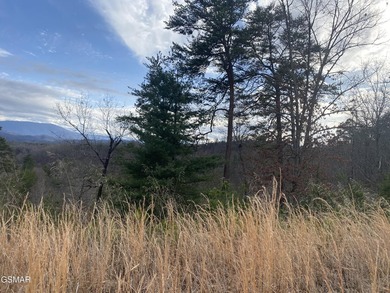 220 Acres of Pristine Mountain Farmland at the Base of Bluff - photo 25