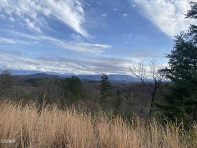 220 Acres of Pristine Mountain Farmland at the Base of Bluff - photo 26