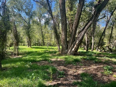 Welcome to *The Florida River Ranch* located directly on the - photo 27
