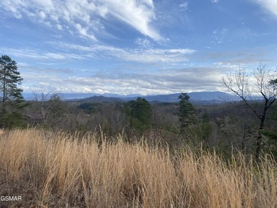 220 Acres of Pristine Mountain Farmland at the Base of Bluff - photo 28