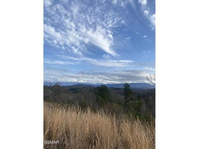 220 Acres of Pristine Mountain Farmland at the Base of Bluff - photo 29