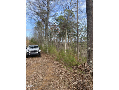220 Acres of Pristine Mountain Farmland at the Base of Bluff - photo 30