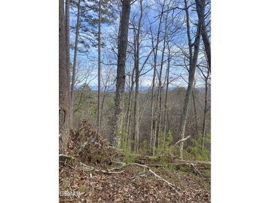 220 Acres of Pristine Mountain Farmland at the Base of Bluff - photo 31