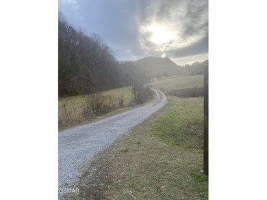 220 Acres of Pristine Mountain Farmland at the Base of Bluff - photo 32