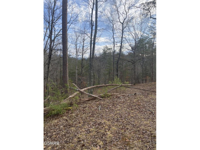220 Acres of Pristine Mountain Farmland at the Base of Bluff - photo 33
