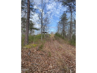 220 Acres of Pristine Mountain Farmland at the Base of Bluff - photo 35