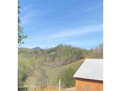 220 Acres of Pristine Mountain Farmland at the Base of Bluff - photo 38