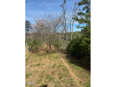 220 Acres of Pristine Mountain Farmland at the Base of Bluff - photo 39