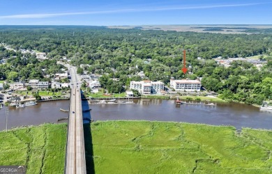 (private lake, pond, coastal) Condo Active Under Contract in Darien Georgia