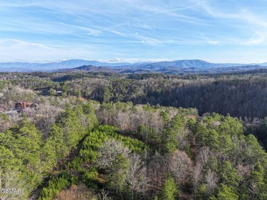 220 Acres of Pristine Mountain Farmland at the Base of Bluff - photo 42