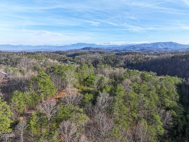 220 Acres of Pristine Mountain Farmland at the Base of Bluff - photo 43