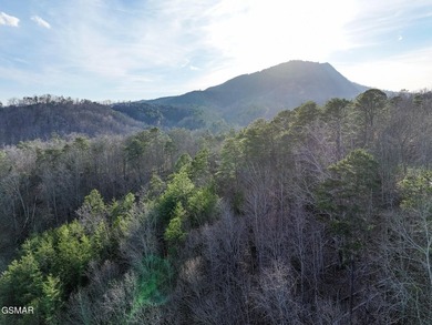 220 Acres of Pristine Mountain Farmland at the Base of Bluff - photo 44