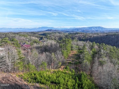 220 Acres of Pristine Mountain Farmland at the Base of Bluff - photo 45
