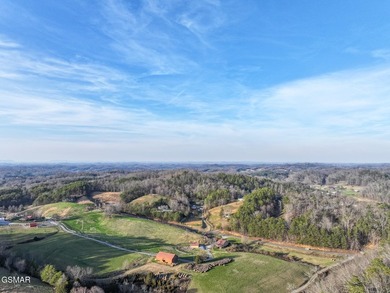 220 Acres of Pristine Mountain Farmland at the Base of Bluff - photo 46
