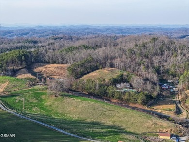 220 Acres of Pristine Mountain Farmland at the Base of Bluff - photo 49