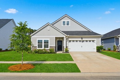 (private lake, pond, coastal) Home For Sale in Summerville South Carolina