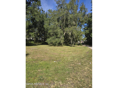 Beautiful lot! This land is nearly an acre, 199' x 190'. Zoned - photo 4