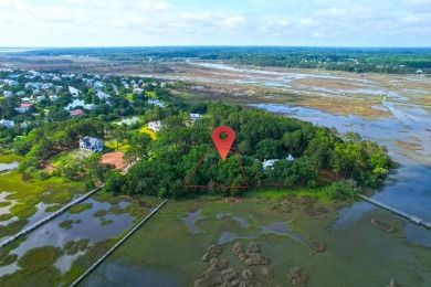 (private lake, pond, coastal) Lot For Sale in Johns Island South Carolina