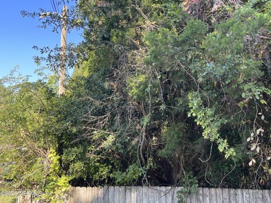 St. Johns River Lot For Sale in Green Cove Springs Florida