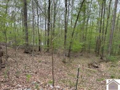 WATERFRONT LOT WITH A GENTLE SLOPE OVERLOOKING LAKE BARKLEY!! - photo 11