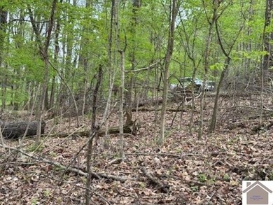 WATERFRONT LOT WITH A GENTLE SLOPE OVERLOOKING LAKE BARKLEY!! - photo 12